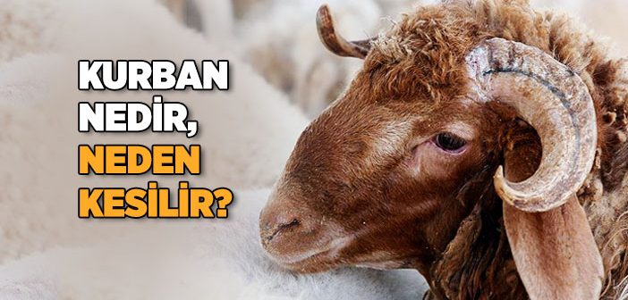 Kimlere Kurban Kesmek Düşer, Kimler Kurban Kesmelidir?